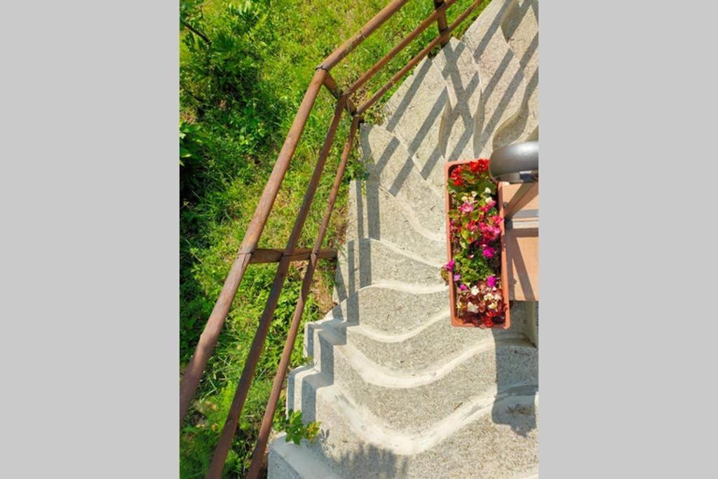 Villa Con Piscina 10 Posti Letto, L'Oliveta Di Rivalto Chianni Kültér fotó