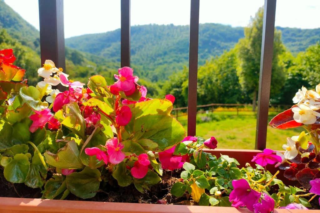 Villa Con Piscina 10 Posti Letto, L'Oliveta Di Rivalto Chianni Kültér fotó