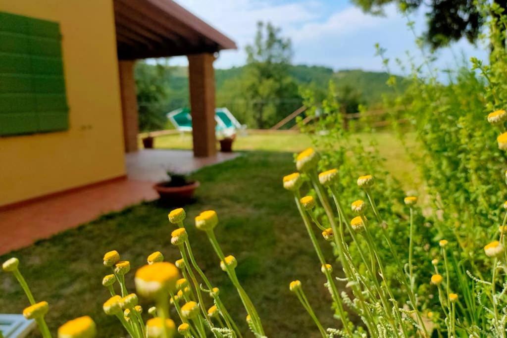 Villa Con Piscina 10 Posti Letto, L'Oliveta Di Rivalto Chianni Kültér fotó