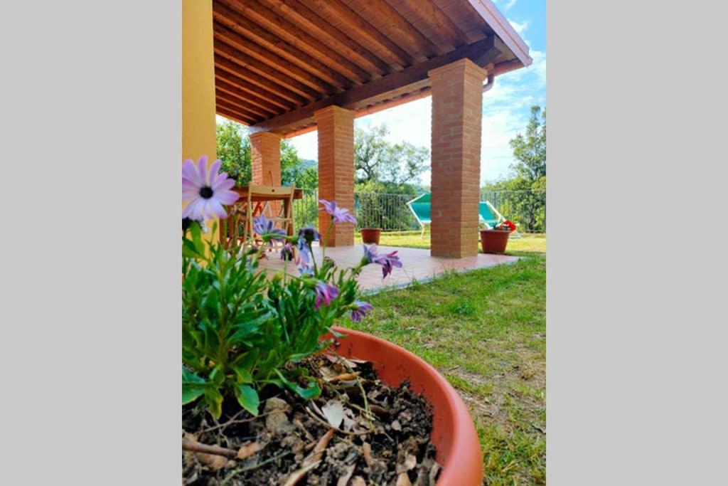 Villa Con Piscina 10 Posti Letto, L'Oliveta Di Rivalto Chianni Kültér fotó