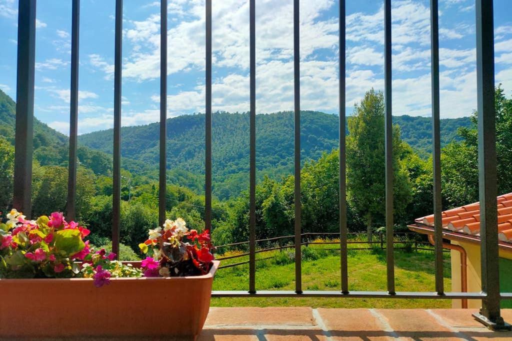Villa Con Piscina 10 Posti Letto, L'Oliveta Di Rivalto Chianni Kültér fotó