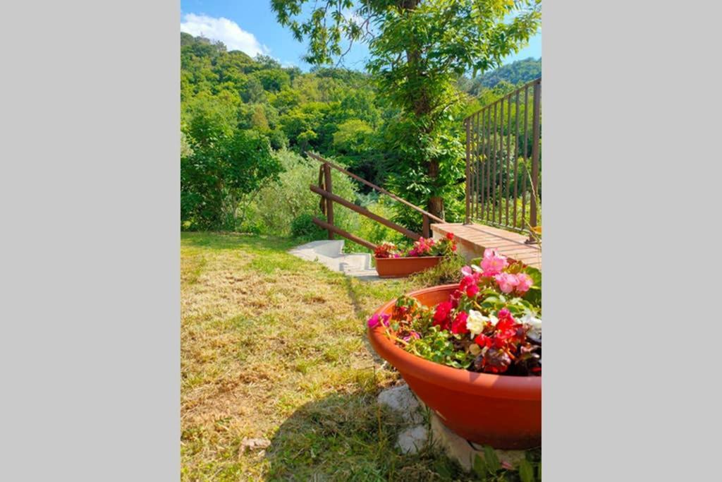 Villa Con Piscina 10 Posti Letto, L'Oliveta Di Rivalto Chianni Kültér fotó